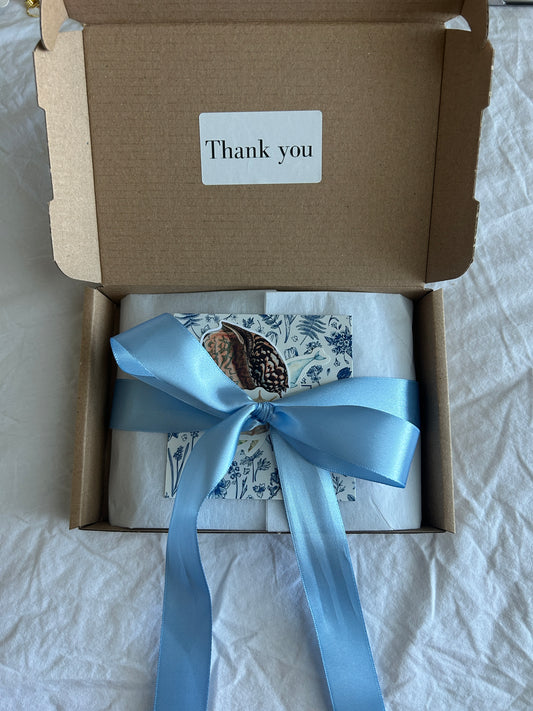 Silver Mystery Box