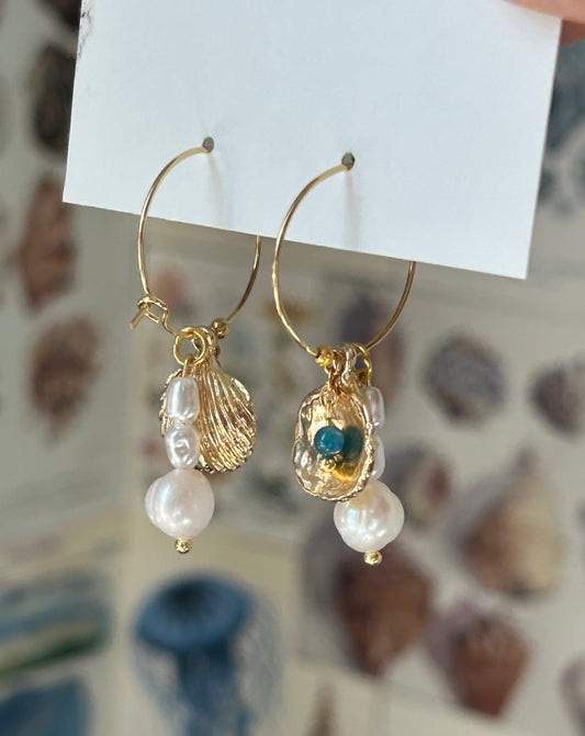 Opal shell